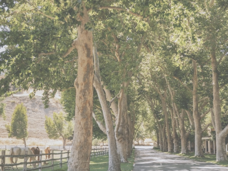 The Alisal Ranch – Solvang, CA